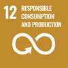 SDG 12 - Responsible consumption and 

production