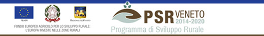 PSR logo