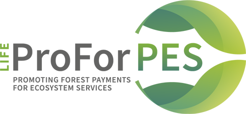 ProForPES logo