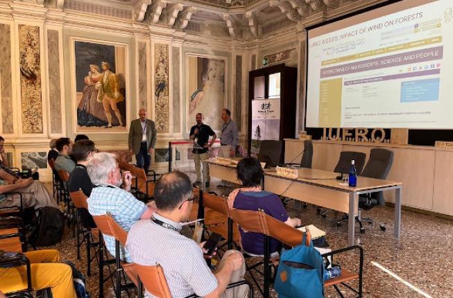 Collegamento a IUFRO 10th Wind and Trees Conference