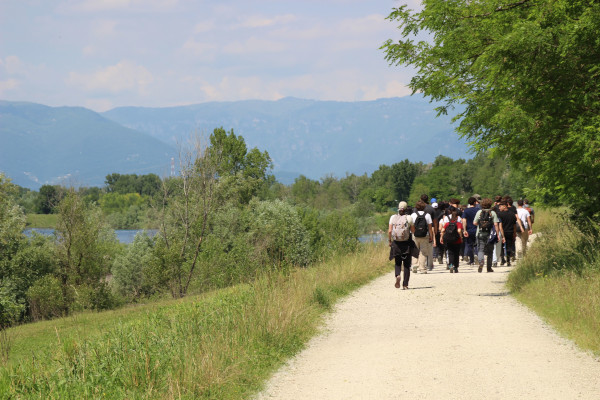 PCTO: Custodi del fiume, viaggio nella natura del fiume Brenta
