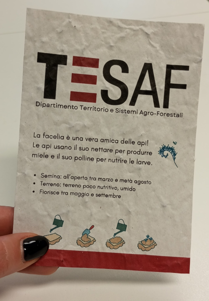 Growing paper con i semi di facelia donati ai bimbi