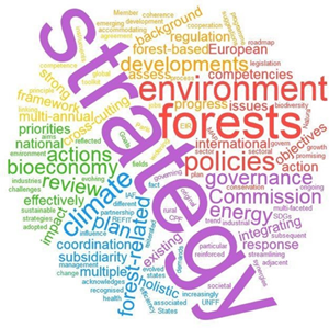 Logo Forest Strategy