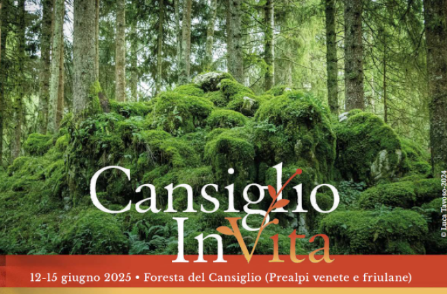 Collegamento a Festival Cansiglio InVita