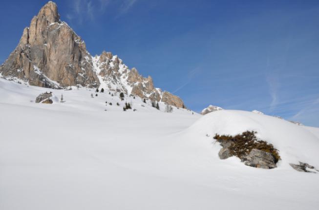 Collegamento a Mai così poca neve nelle Alpi negli ultimi 600 anni