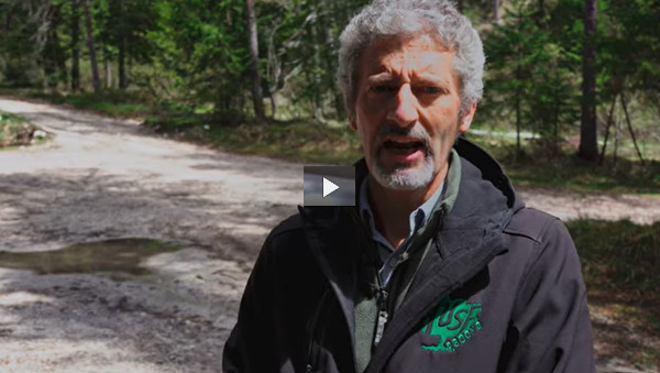 Video presentazione del corso TFA